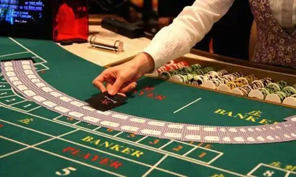 Tampilan meja Live Casino sqtoto dengan dealer nyata melalui siaran video langsung di smartphone Android